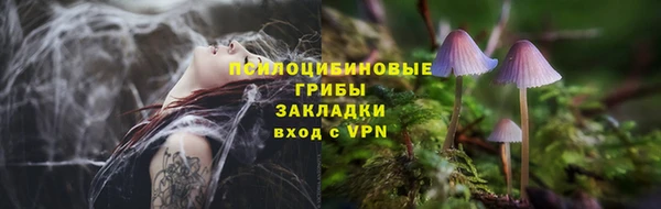 молекула духа Липки