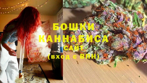 гидра Магас