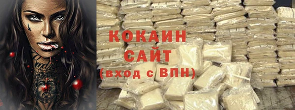 гидра Магас