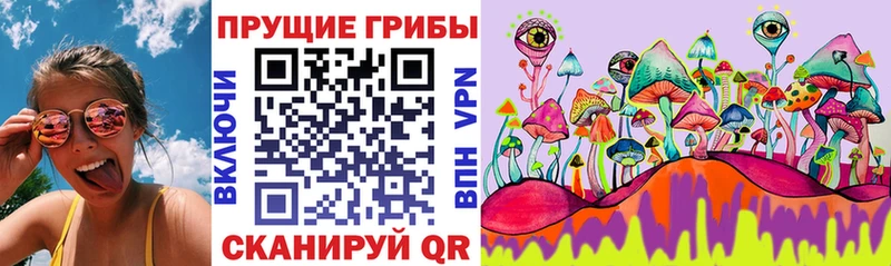 кракен ONION  Рязань  Псилоцибиновые грибы мухоморы  наркотики 