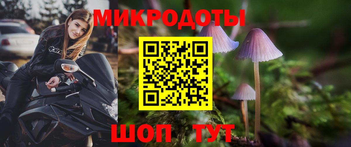 Галлюциногенные грибы Cubensis Рязань